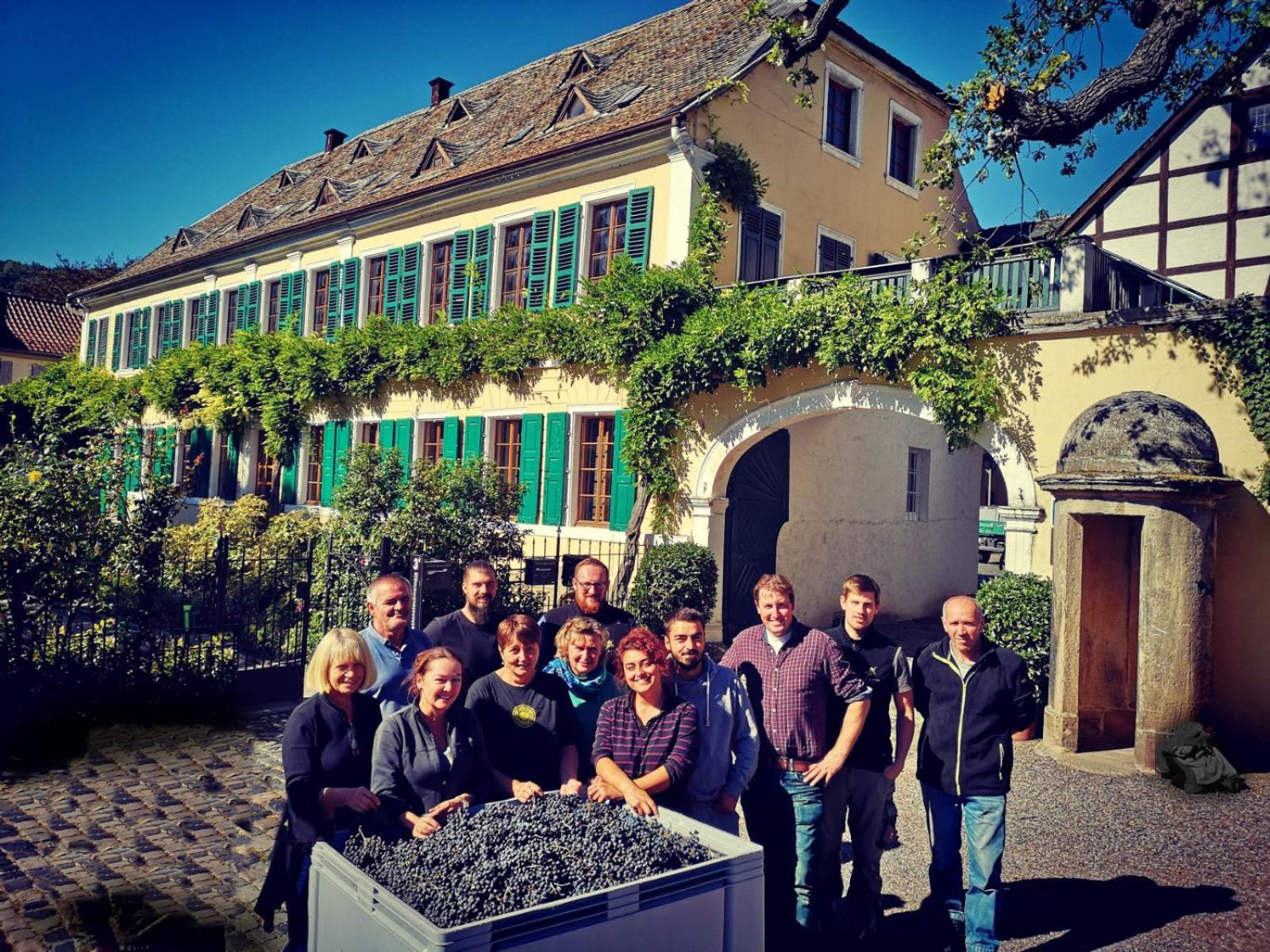 Unterkunft Im Weingut Fitz-Ritter Bad Dürkheim Exterior foto