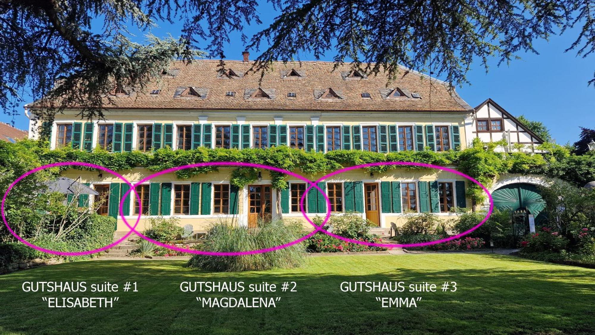 Unterkunft Im Weingut Fitz-Ritter Bad Dürkheim Exterior foto