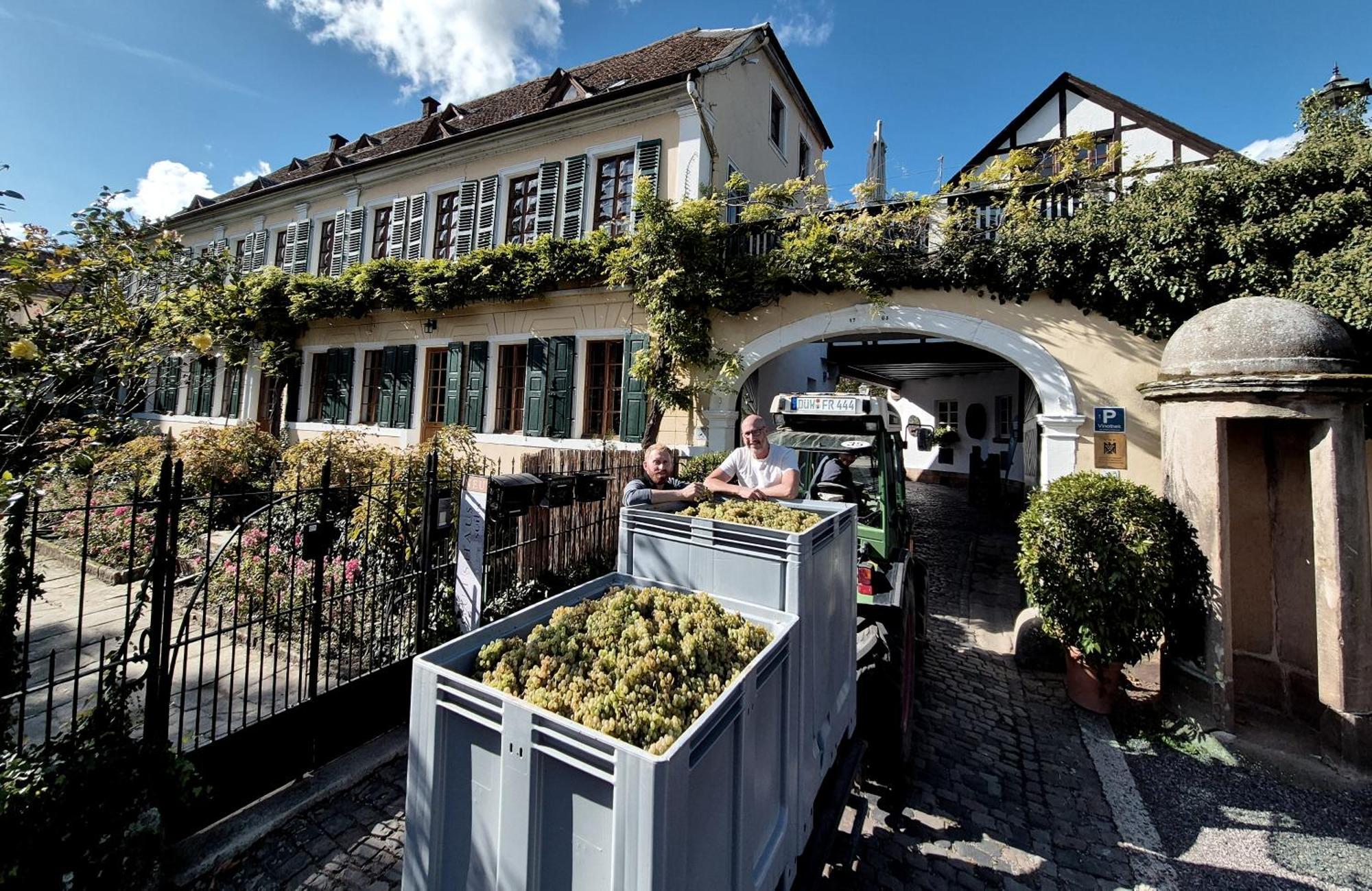 Unterkunft Im Weingut Fitz-Ritter Bad Dürkheim Exterior foto